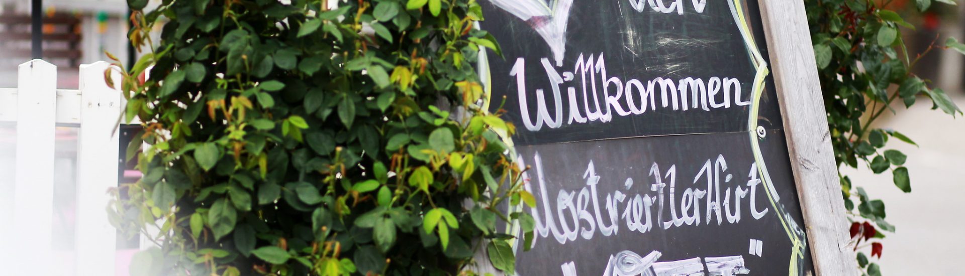 Gasthaus Ott Mostviertel Seitenstetten Hochzeit heiraten Taufe Feier Wirt Busse Busgruppen Tourismus